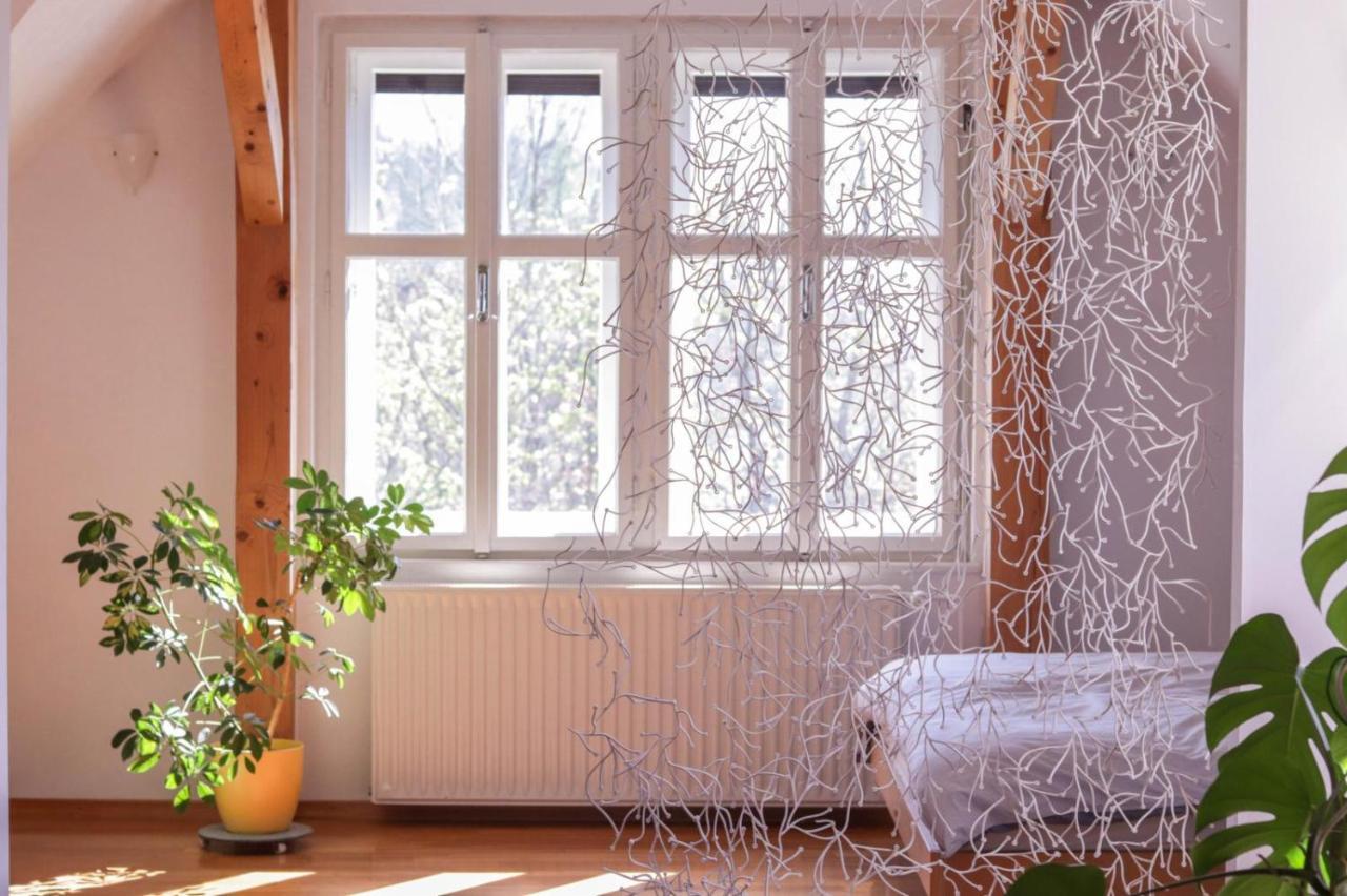 Apartment In The Heart Of Bled With Views Eksteriør bilde